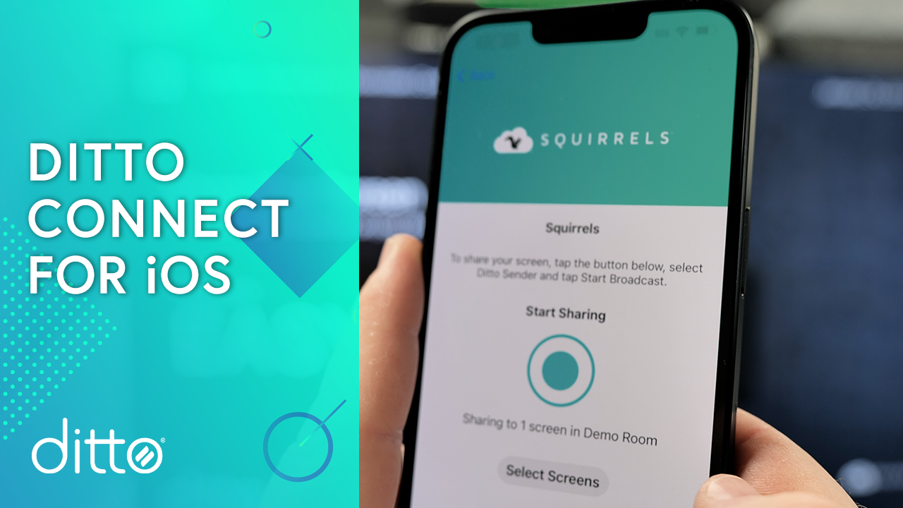 Ditto Connect for iOS Thumbnail