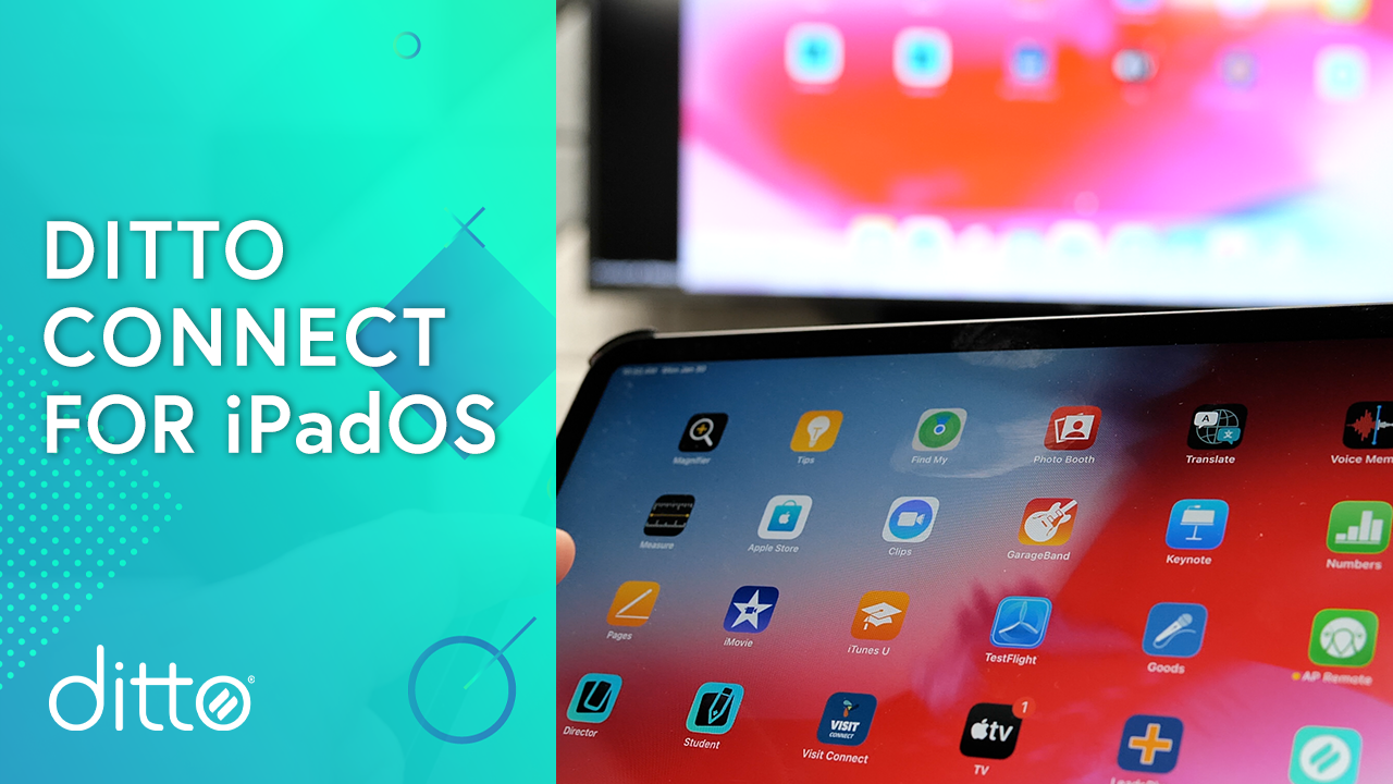 Ditto Connect for iPadOS Thumbnail