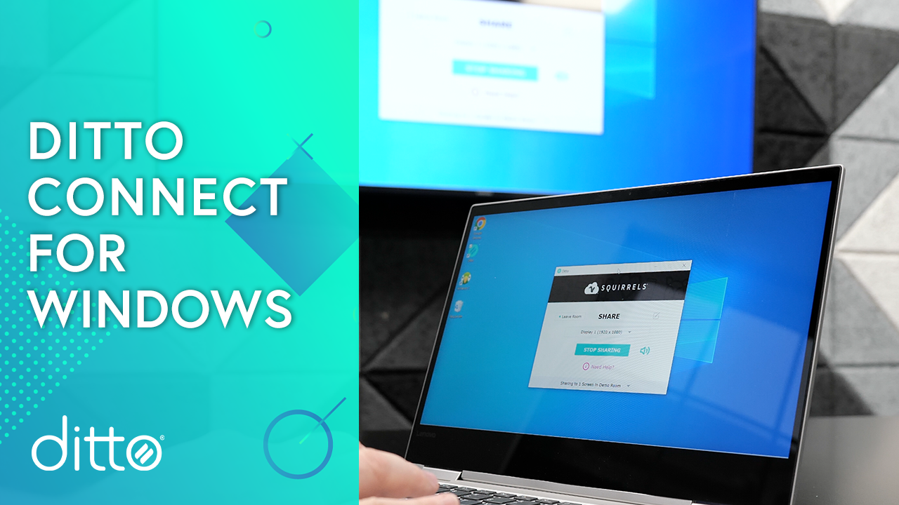 Ditto Connect for Windows Thumbnail
